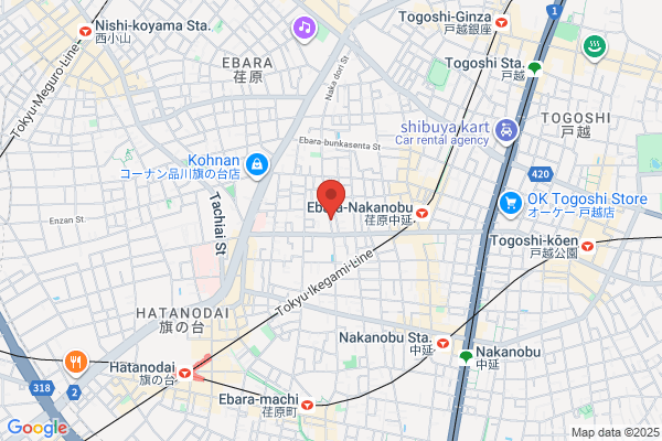 Kobayashi Shibori Seisakujo Co., Ltd.