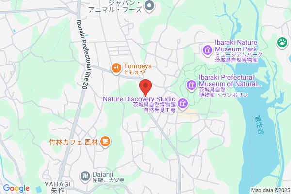 Tokyo Bracelat Trading Co., Ltd.