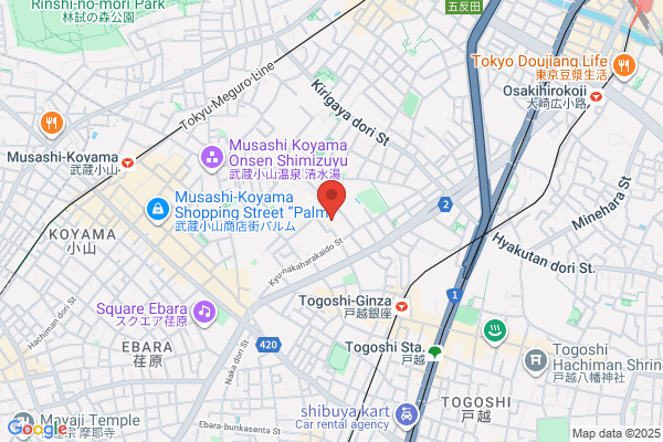Hoshi University