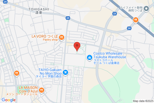 紫流 書道会