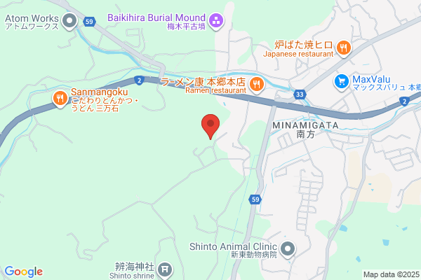 ゲオ東大阪若江店