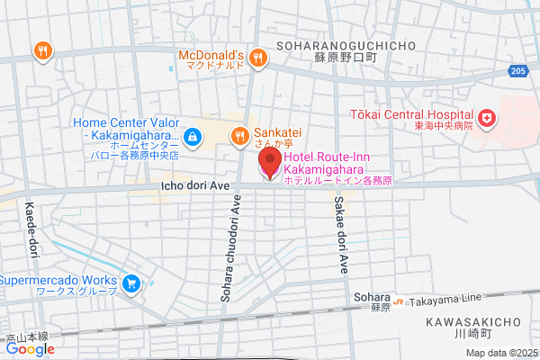 Hotel Route Inn Kakamigahara