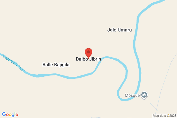 dalbo511