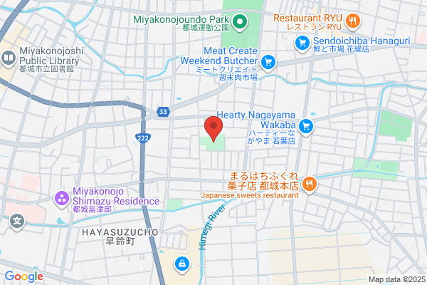ゴルフパートナー 都城練習場店