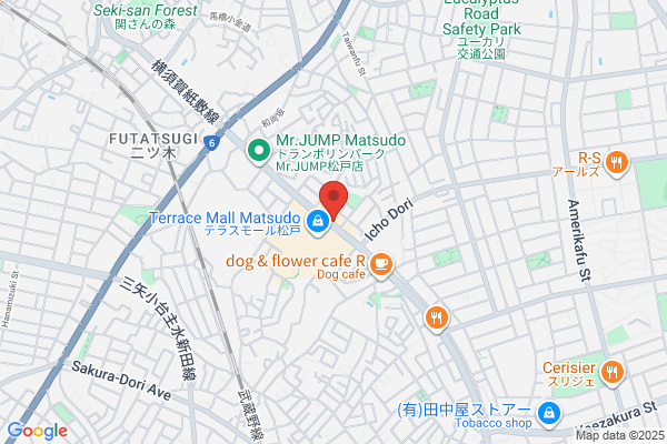 吉野家 松戸八ヶ崎店（テイクアウト・デリバリー専門店）
