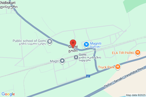 ドミノ・ピザ弥富店