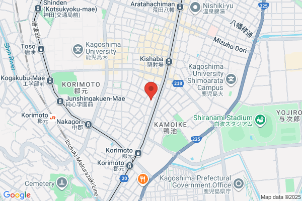 Hotel Kamoike Plaza