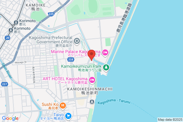 Kagoshima Daiichi Hotel Kamoike-ten