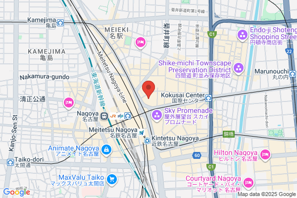 H.I.S. Co., Ltd.