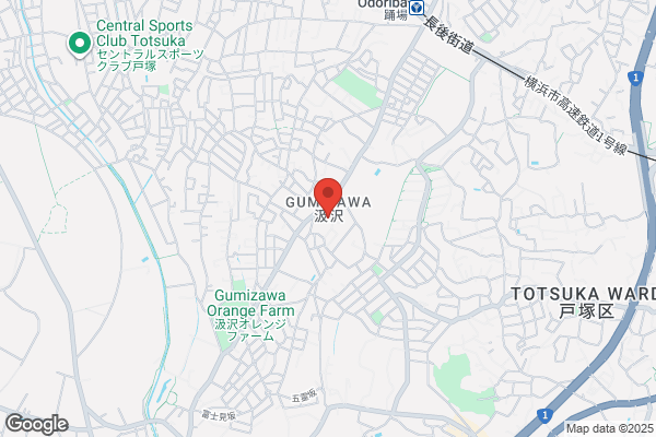 PUDOステーション　ヤマト運輸　藤沢亀井野センター - 閉業