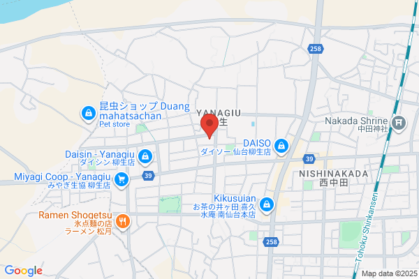 Sendai Yanagiu Clinic