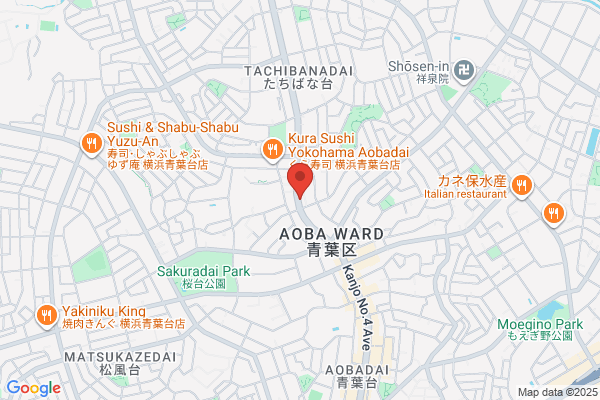 Aobadai Kids World