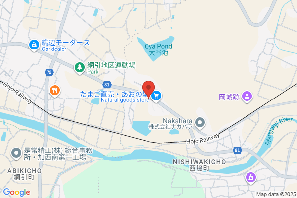 Angel Moving Service Co., Ltd.