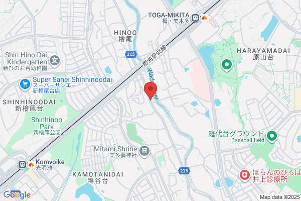 Hino Denki