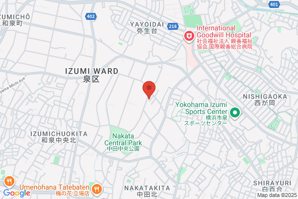 Saito Denki Shokai Co., Ltd.