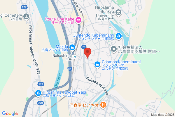 Hotel New Odagame