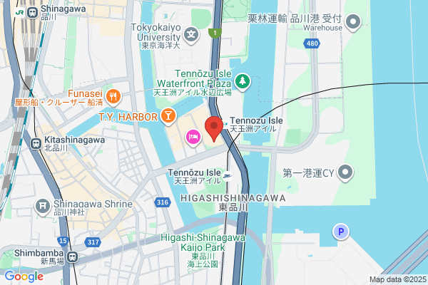 Japan Lifeline Co., Ltd.