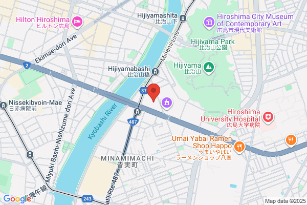 Y.S.P Hiroshima Minami