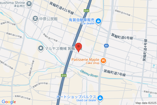 Hayashi Yakkyoku Co., Ltd. Kamigion-ten