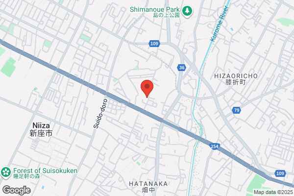 Fuji Technical Research Inc.