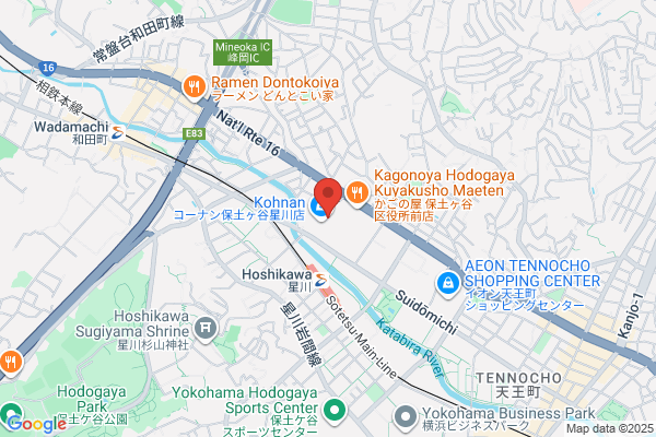 Kamezawa Denki