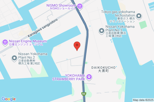 Saito Denki Sangyo K.K.