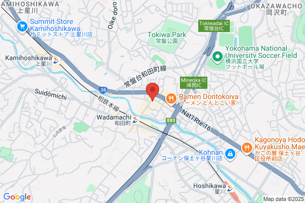 Kikuchi Fudosan