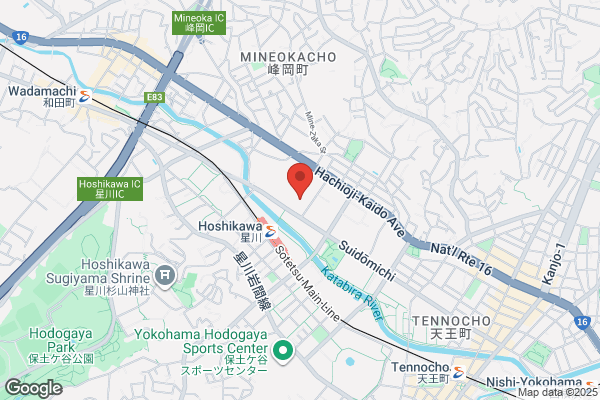Hodogaya Tourist Inc.