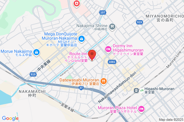 Business Hotel Shoji
