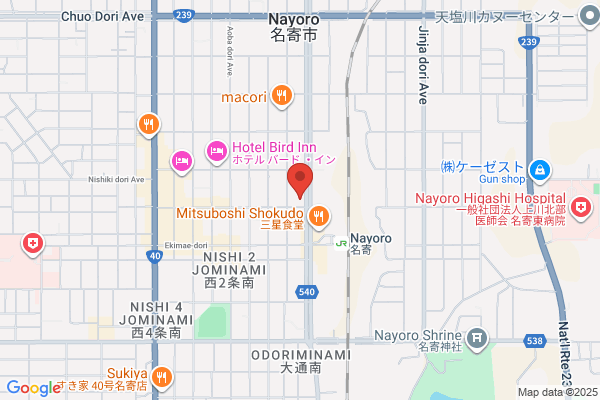 New Fujiya Hotel