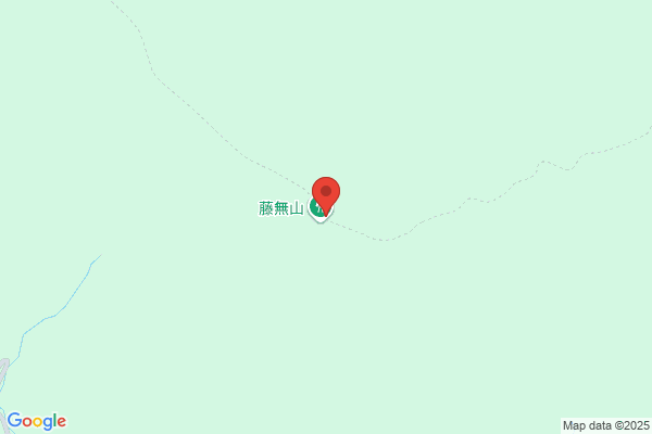 Fujii Fudosan