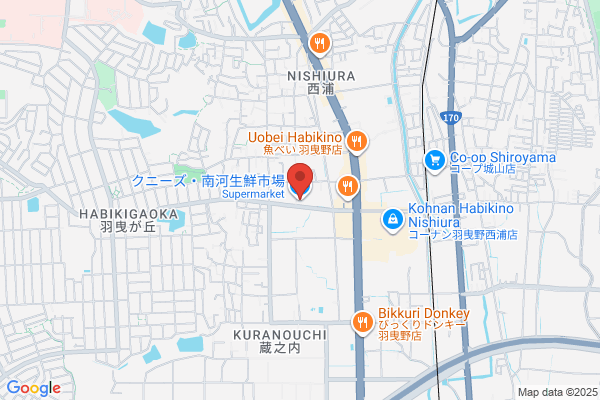 Super Nice Fujiidera-ten