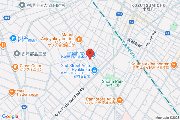ドミノ・ピザ安城百石町店