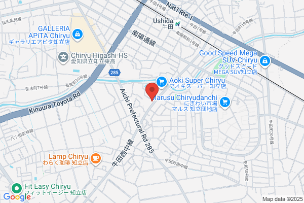 ゲオ知立店