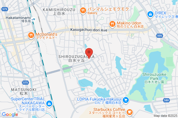 ディスカウントドラッグコスモス 白水ヶ丘店