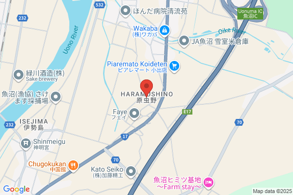 ウエルシア新潟小出店 (調剤薬局)