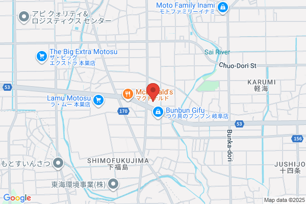 ゲオ岐阜真正店