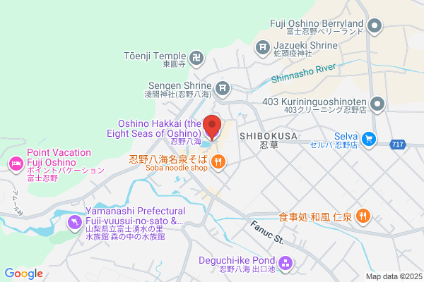 ドミノ・ピザ坂井春江町店