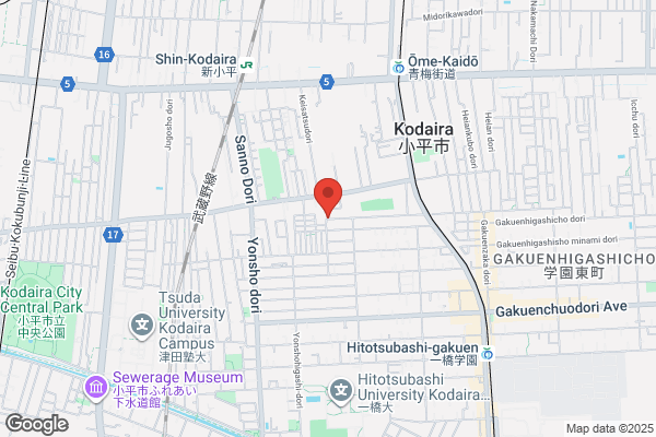 本格肉料理丸小