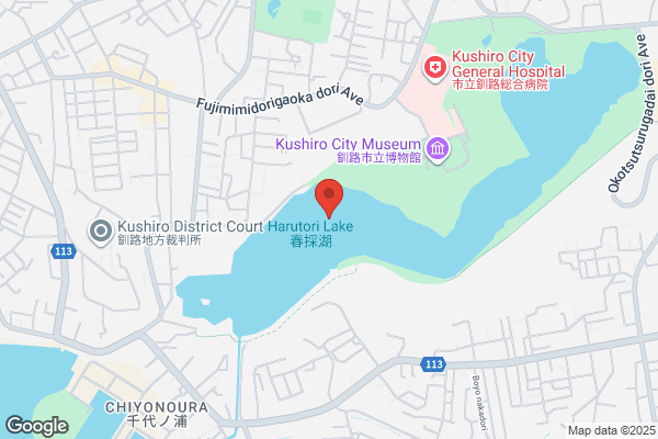 ツルハドラッグ 釧路愛国店