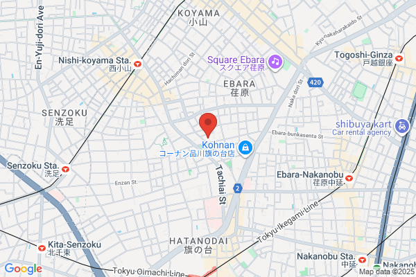PUDOステーション　ウエルシア　大田上池台店