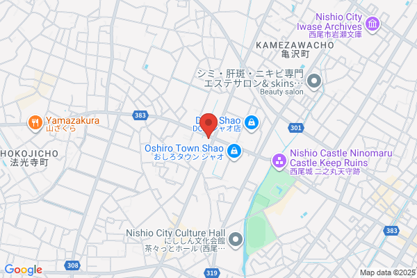 ブルースカイランドリーヤマナカ西尾下町店