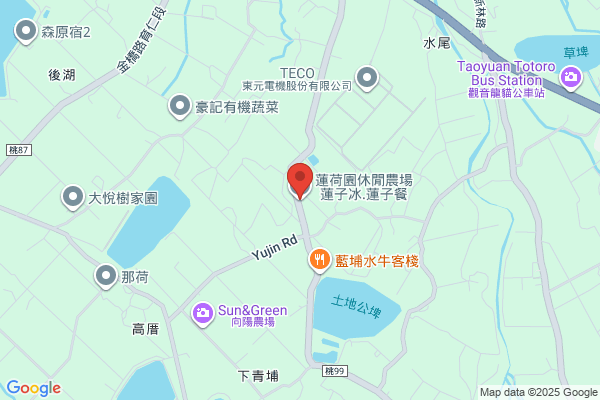 蓮花