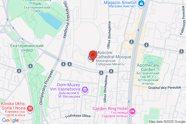 中華料理 花さき