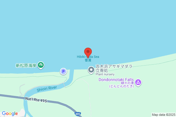 パールクリーニング ダイイチ白樺店