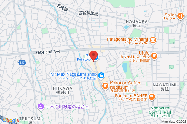 FreeDesign BIRD