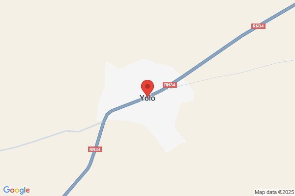 YOLO