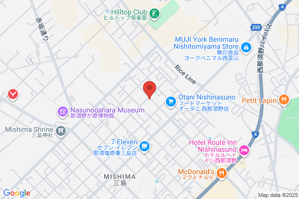 ドミノ・ピザ大田原店