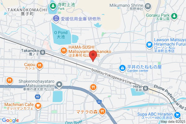 レデイ薬局 ケアサポートセンターまつやま（居宅介護支援事業所）