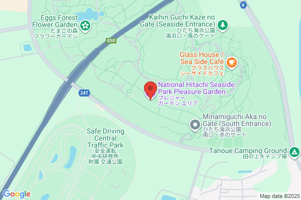 かみしんプラザ AMUSE PARK（アミューズパーク）